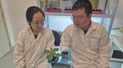 Lead researchers Dr. Song Wang (left), a research scientist at SMART DiSTAP, and Dr. Yangyang Han (right), a senior postdoctoral associate at SMART DiSTAP.